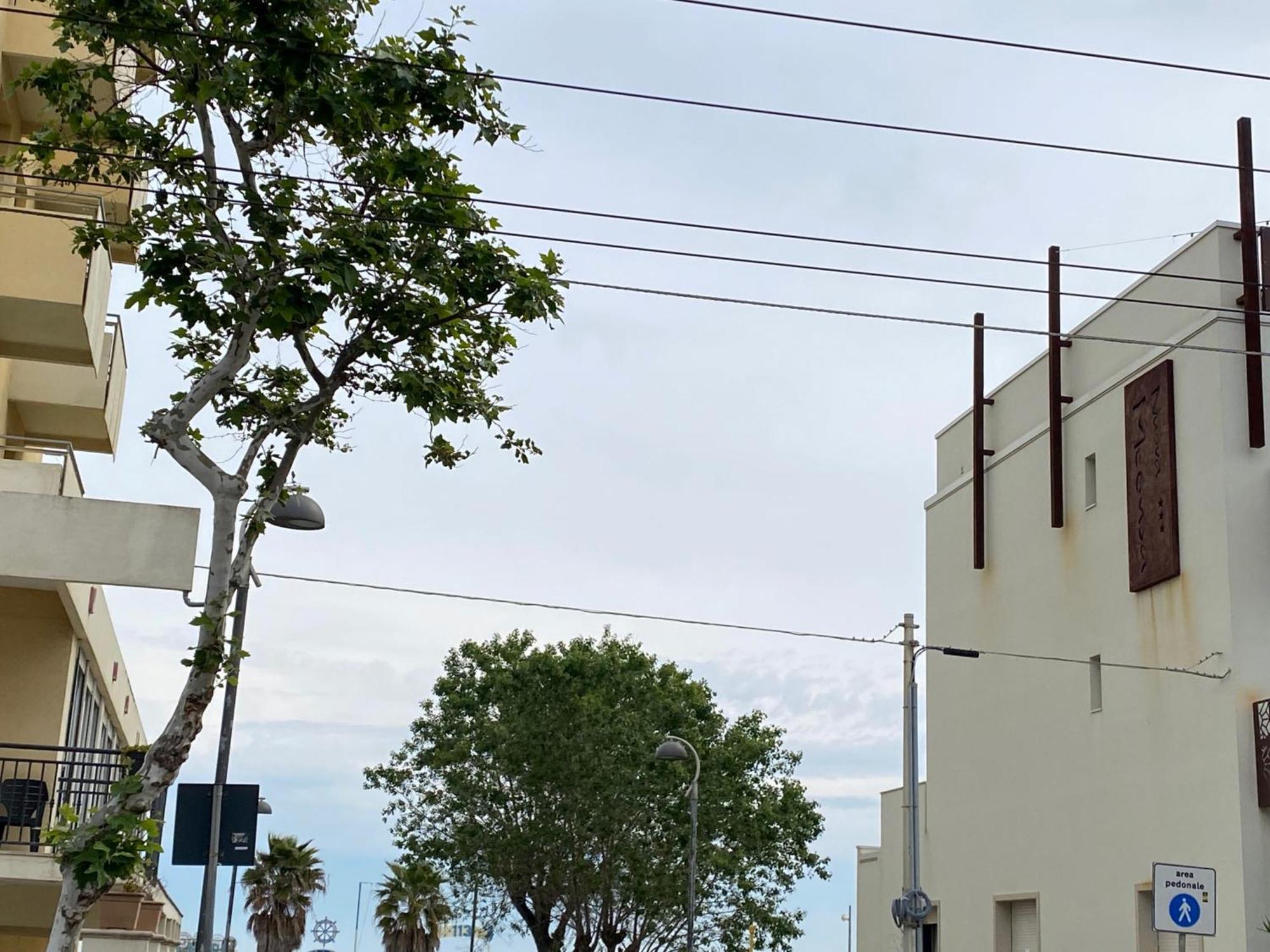 Hotel Piccari Nuova Gestione 里米尼 外观 照片